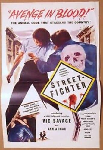 Movie poster for Street Fighter