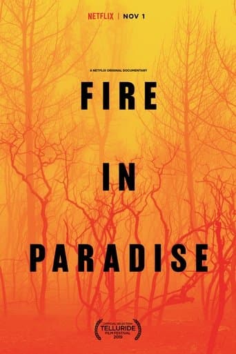 Movie poster for Fire in Paradise