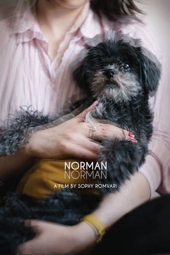 Movie poster for Norman Norman
