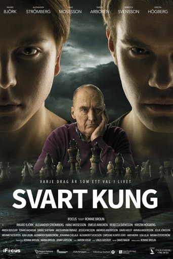 Movie poster for Black King