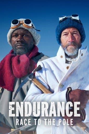 Movie poster for Endurance: Race to the Pole