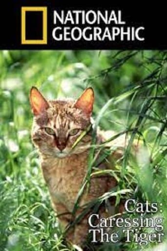 Movie poster for Cats: Caressing The Tiger