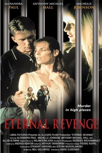 Movie poster for Revenge