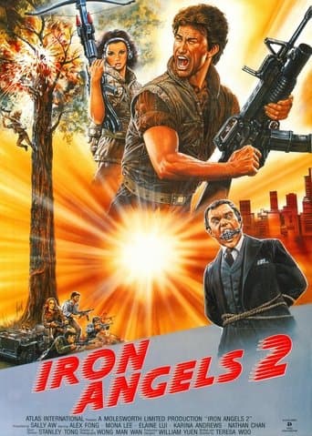 Movie poster for Iron Angels 2