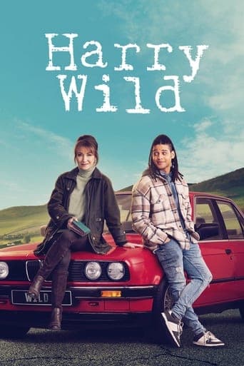 Movie poster for Harry Wild