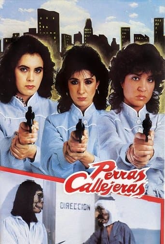 Movie poster for Female Street Dogs
