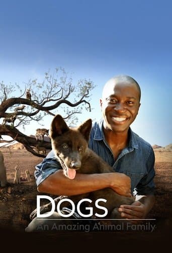 Movie poster for Dogs: An Amazing Animal Family