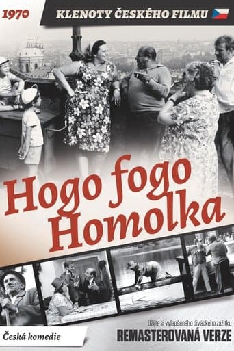 Movie poster for Hogo Fogo Homolka