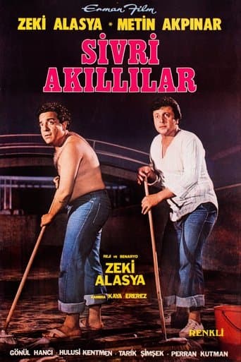 Movie poster for Sivri Akıllılar