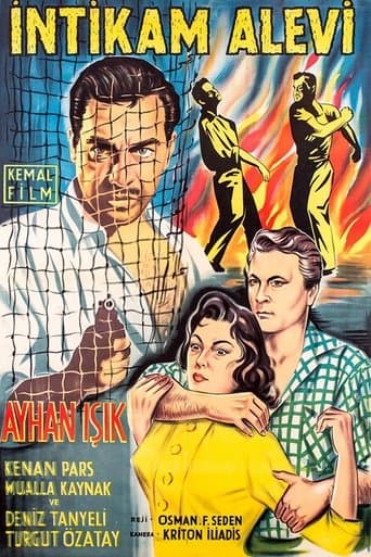 Movie poster for İntikam Alevi