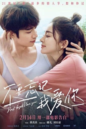 Movie poster for Don't Forget I Love You