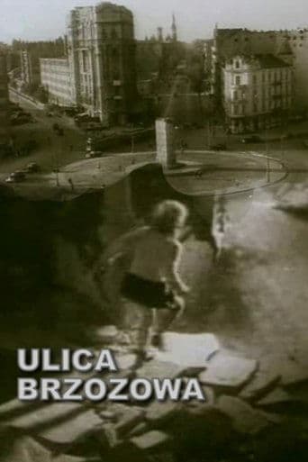 Movie poster for Brzozowa Street