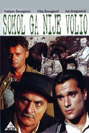 Movie poster for Sokol Did Not Love Him