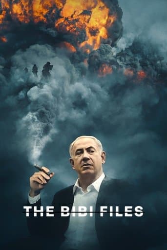 Movie poster for The Bibi Files