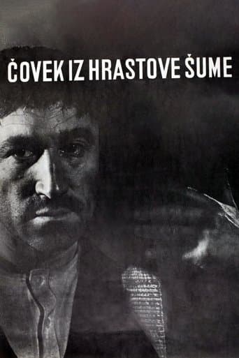 Movie poster for The Man from the Oak Forest