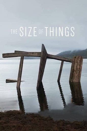 Movie poster for The Size of Things