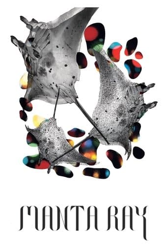 Movie poster for Manta Ray