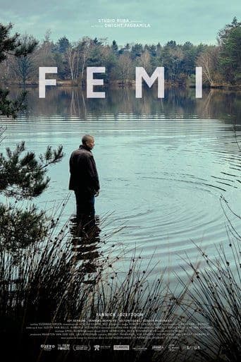 Movie poster for Femi