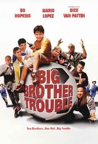 Movie poster for Big Brother Trouble