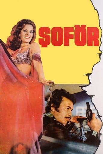 Movie poster for Şoför