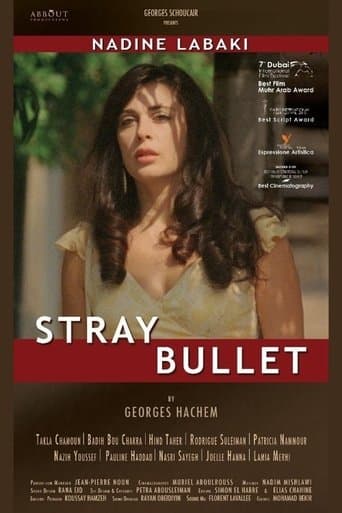 Movie poster for Stray Bullet