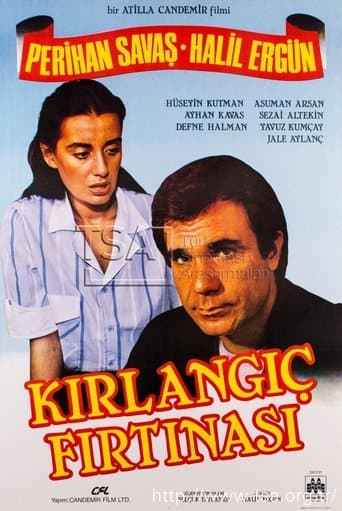 Movie poster for Kırlangıç Fırtınası