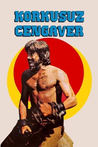 Movie poster for Korkusuz Cengâver