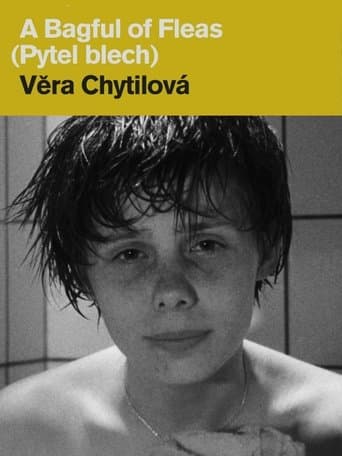 Movie poster for A Bagful of Fleas