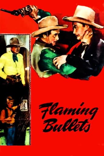 Movie poster for Flaming Bullets