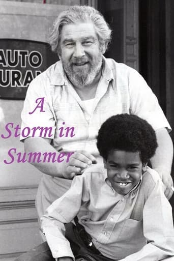 Movie poster for A Storm in Summer