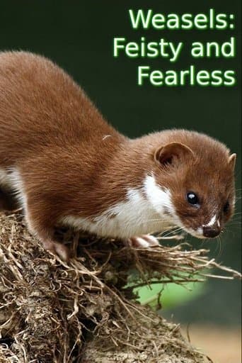 Movie poster for Weasels: Feisty and Fearless