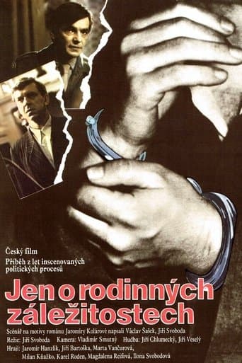 Movie poster for Jen o rodinných záležitostech