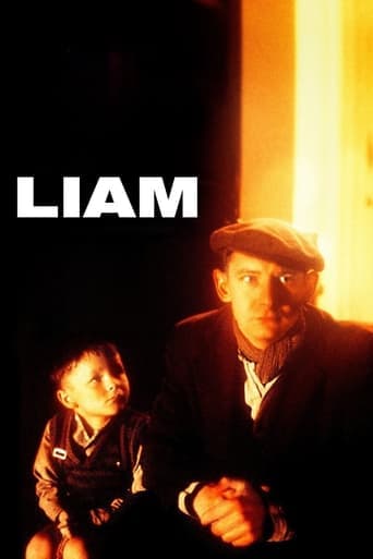 Movie poster for Liam
