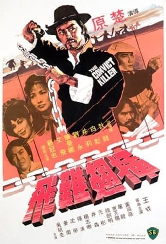 Movie poster for The Convict Killer