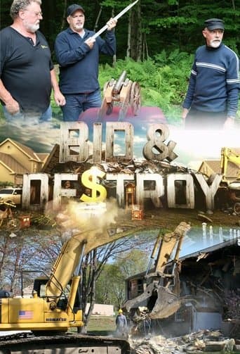 Movie poster for Bid & Destroy