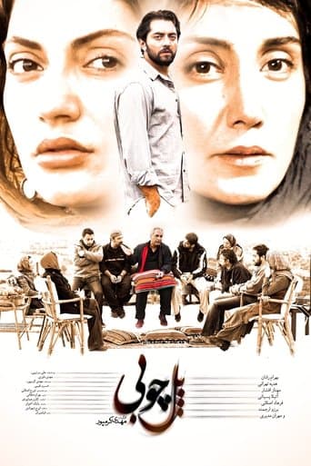 Movie poster for Wooden Bridge