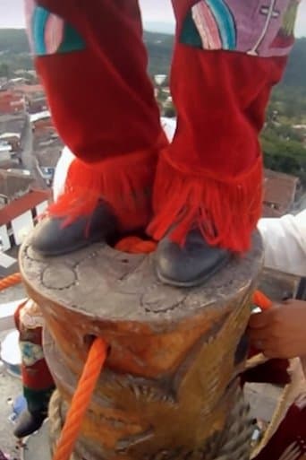 Movie poster for Dancing with Voladores