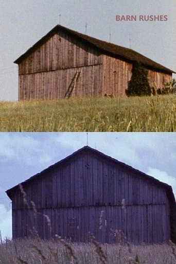 Movie poster for Barn Rushes