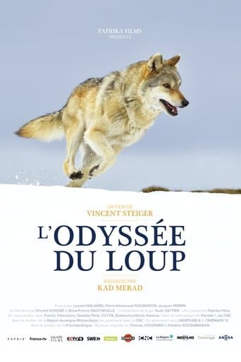 Movie poster for A Wolf's Journey