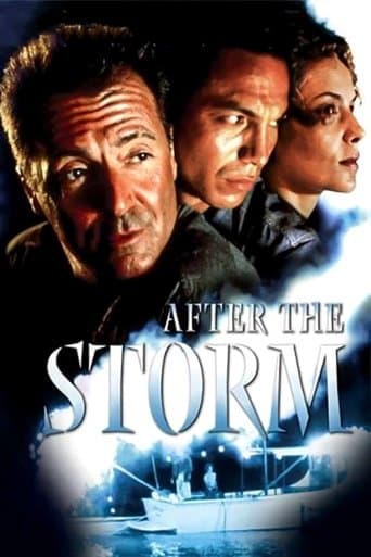 Movie poster for After the Storm
