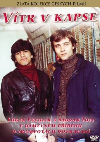 Movie poster for Vítr v kapse