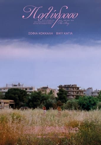 Movie poster for Polydroso