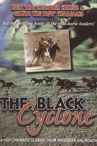 Movie poster for Black Cyclone