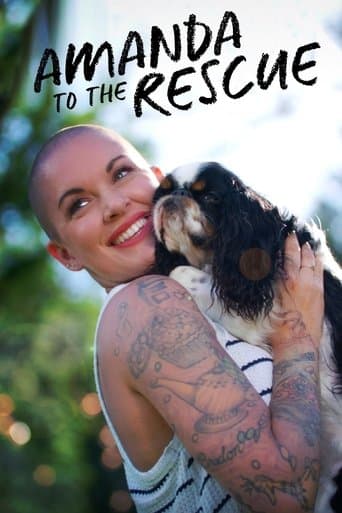 Movie poster for Amanda to the Rescue