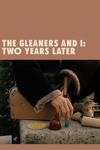 Movie poster for The Gleaners and I: Two Years Later
