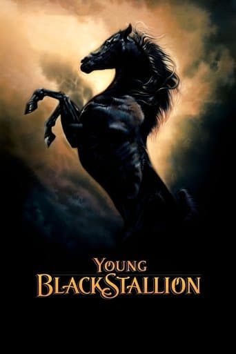 Movie poster for Young Black Stallion