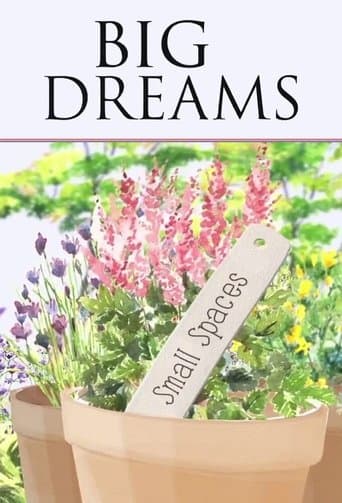 Movie poster for Big Dreams Small Spaces