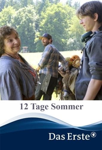Movie poster for 12 Tage Sommer