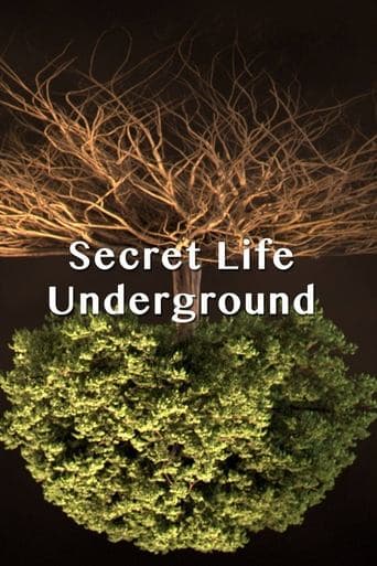 Movie poster for Secret Life Underground