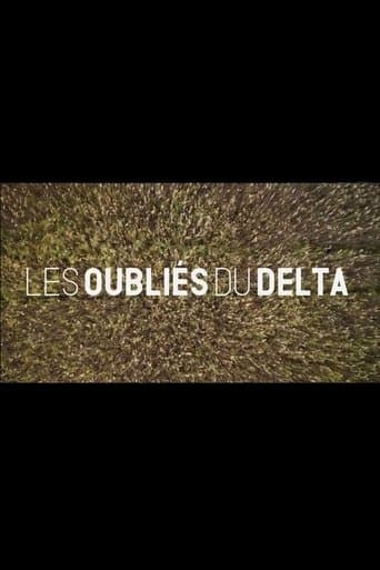 Movie poster for Les oubliés du Delta
